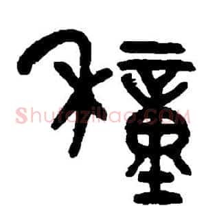 种