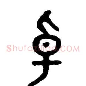 卓