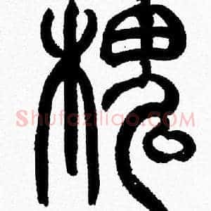 槐