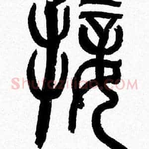 接