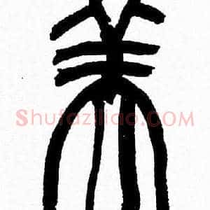美