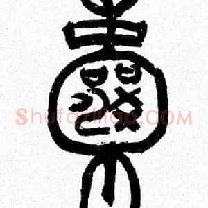 囊