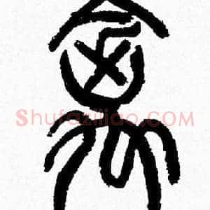 禽