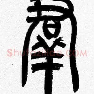 群