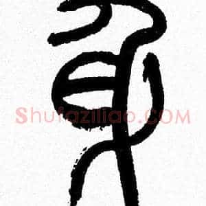 身