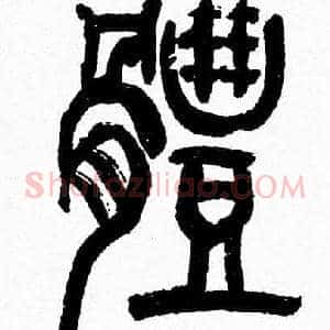體