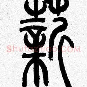 薪