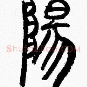 陽