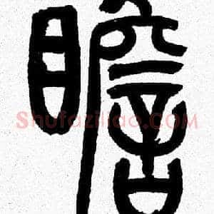 瞻