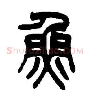 魚