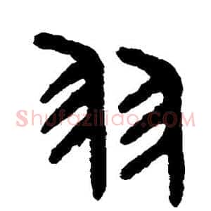 羽