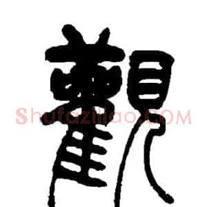 观