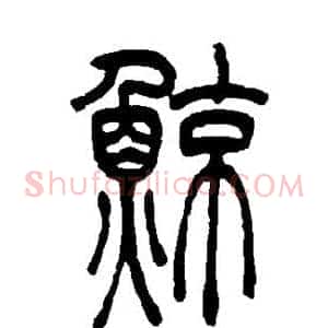 鲸