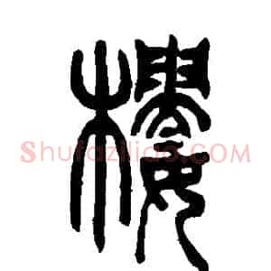 樓