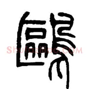 鸥