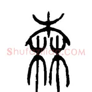 森