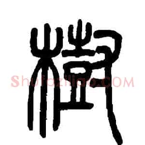 樹