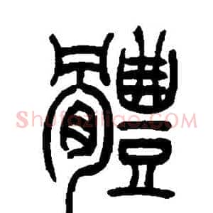 体