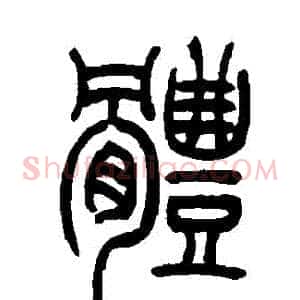體