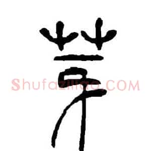 芽