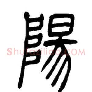 阳