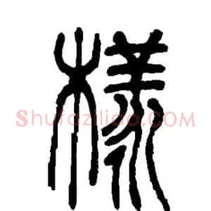 样