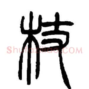 杖