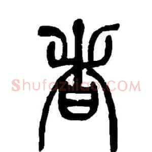者