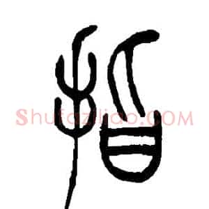 指