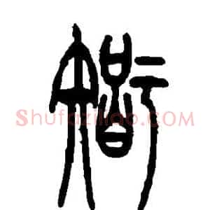 智