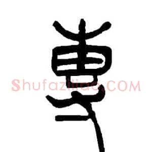 专