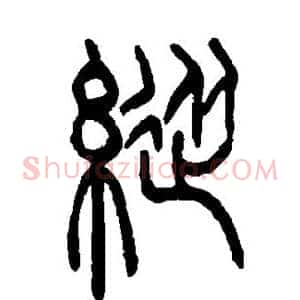 纵