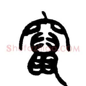 窜