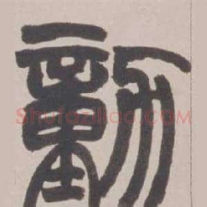 動