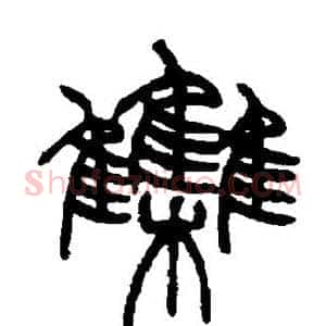 集