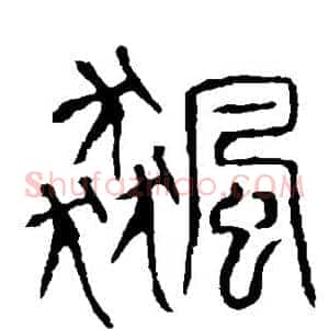 飙