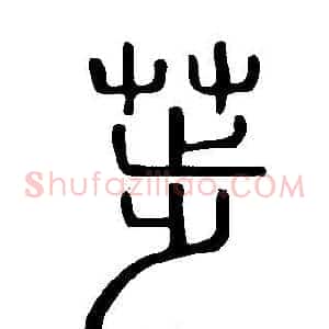 荹