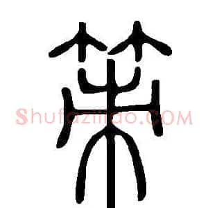策