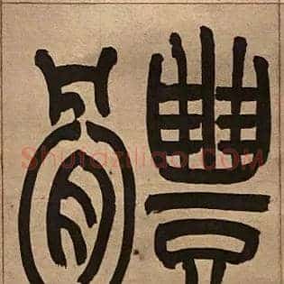 體