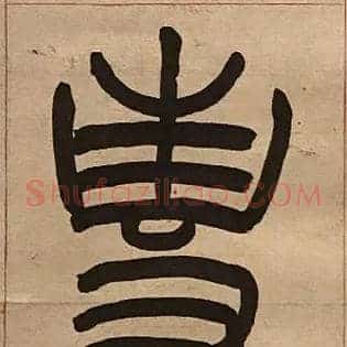 專