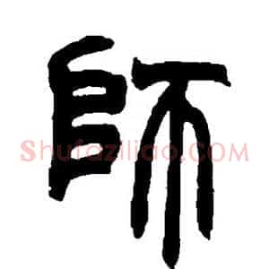 师
