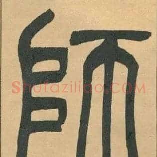 師