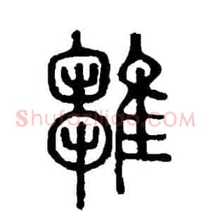 雏