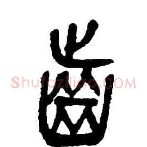 齿
