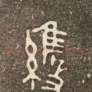 維