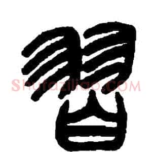 習
