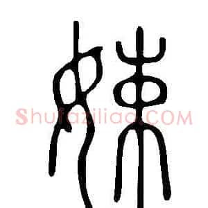 娕