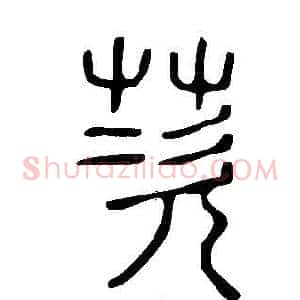 茨