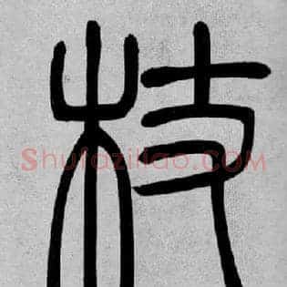 杖