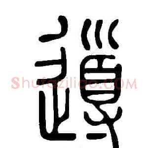 導